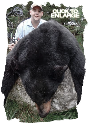 Trophy Bear Hunting in Canada