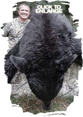 Trophy Bear Hunting Canada