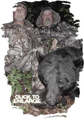 Trophy Bear Hunting Canada