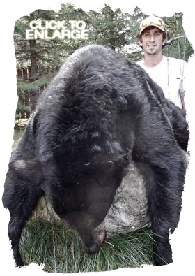 Trophy Bear Hunting in Canada