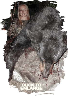 Trophy Bear Hunting Canada
