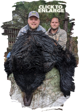 Trophy Bear Hunting in Canada