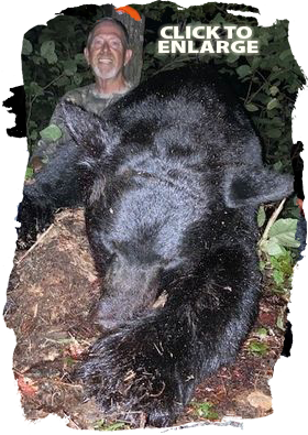 Trophy Bear Hunting Canada