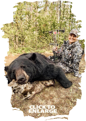 Trophy Bear Hunting in Canada