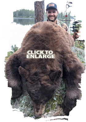 Trophy Bear Hunting in Canada