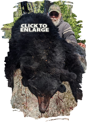 Trophy Bear Hunting in Canada