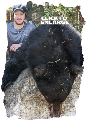 Trophy Bear Hunting Canada