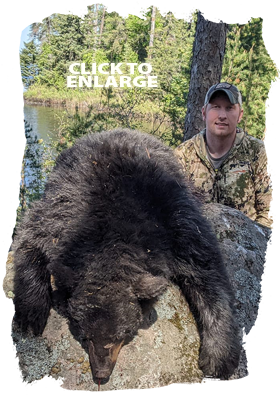 Trophy Bear Hunting Canada