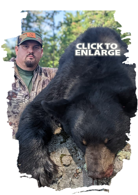 Trophy Bear Hunting in Canada