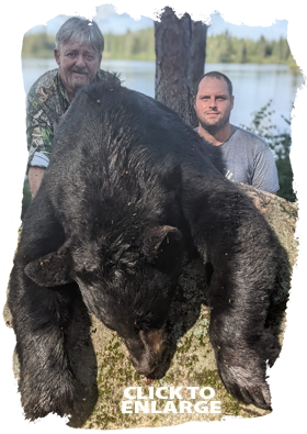 Trophy Bear Hunting Canada