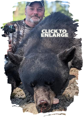 Trophy Bear Hunting in Canada