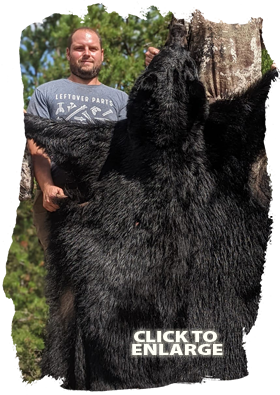 Trophy Bear Hunting Canada