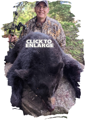 Trophy Bear Hunting in Canada