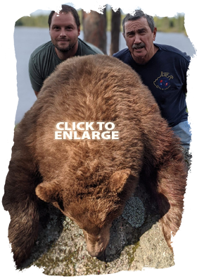 Trophy Bear Hunting Canada
