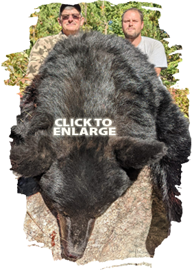Trophy Bear Hunting in Canada