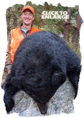 Trophy Bear Hunting Canada