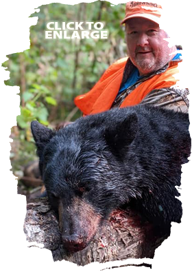 Trophy Bear Hunting in Canada