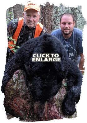 Trophy Bear Hunting Canada