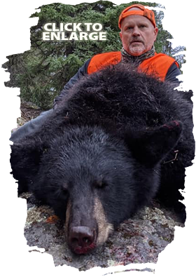 Trophy Bear Hunting in Canada