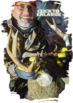 Trophy Bear Hunting in Ontario