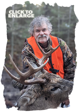 Trophy Bear Hunting in Ontario