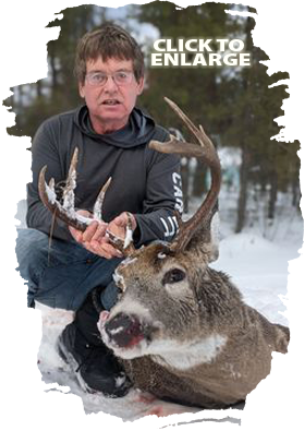 Trophy Bear Hunting in Ontario