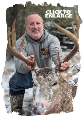 Trophy Bear Hunting in Ontario