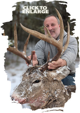 Trophy Bear Hunting in Ontario