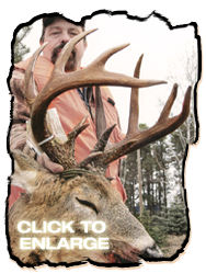 Trophy Whitetail Deer Hunt at Pine Acres