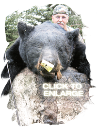 Bear Hunting in Vermilion Bay