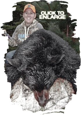 Best Bear Hunting in Northwestern Ontario