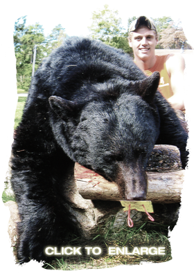 Whitetail Deer hunting at Pine Acres Camp