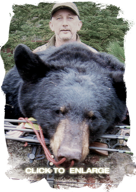 Whitetail Deer hunting in Ontario