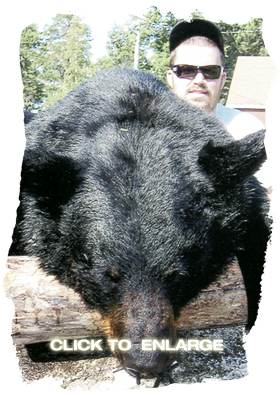 Whitetail Deer hunting in Ontario