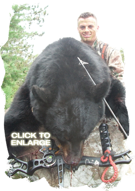 Whitetail Deer hunting in Ontario