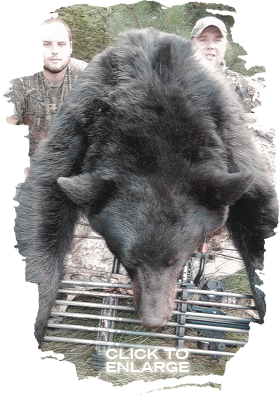 Whitetail Deer hunting at Pine Acres Camp