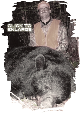 Whitetail Deer hunting in Ontario