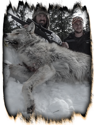 Winter Wolf Hunt