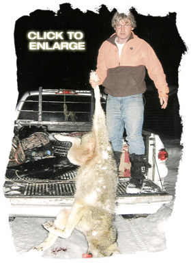 Whitetail Deer hunting at Pine Acres Camp
