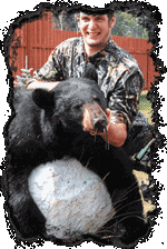 sunset country trophy bear