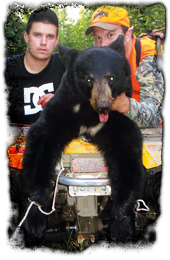 black bear hunts