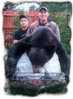 northwestern ontario black bear hunts