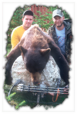 black bear hunts