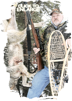 Wolf Hunting in Vermilion Bay Area