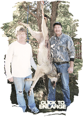 Wolf Hunting in Vermilion Bay Area