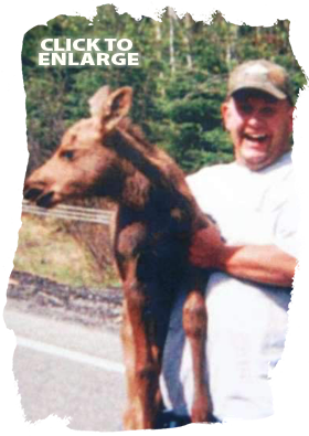 Bear hunting in Ontario