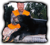 Black Bear Hunt at Pine Acres